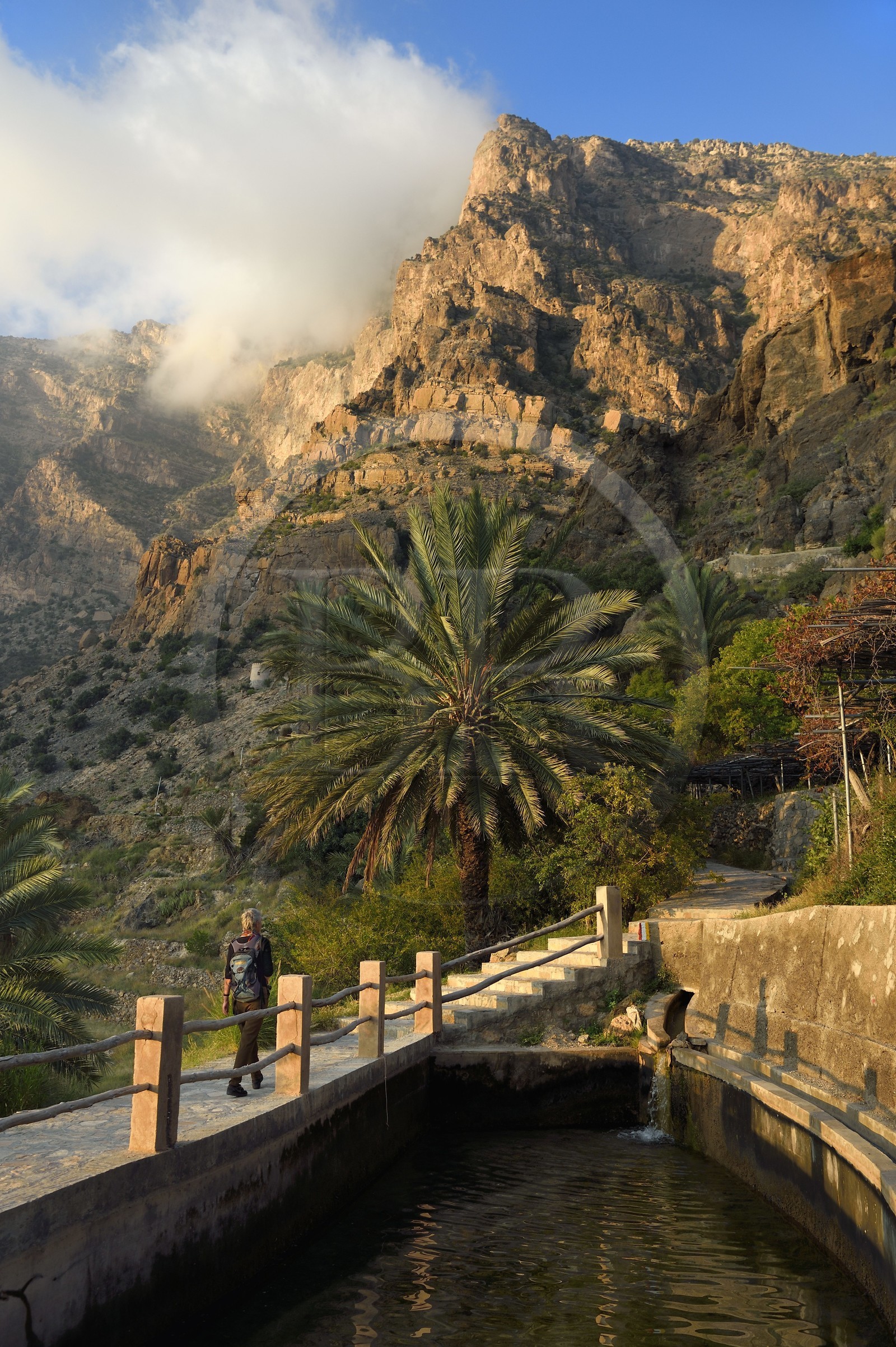 Sultanat d'Oman, Gouvernorat d'Al-Batina du Sud, Hajar occidental, Wadi Mistall, village de Wakan (Wukan), le sentier de randonnée comprenant 700 marches monte à travers les jardins en terrasses et le long de canaux d'irrigation, le sommet du Qarn Wukan (2501m) en arrière plan