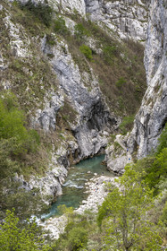 France, Alpes-de-Haute-Provence (04), Parc Naturel Régional du Verdon, Rougon, Grand Canyon du Verdon, la rivière du Verdon dans le couloir Samson et le début du sentier Blanc-Martel sur le GR4