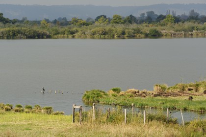 France, Eure, Marais-Vernier, the Big Pond (Grande Mare)