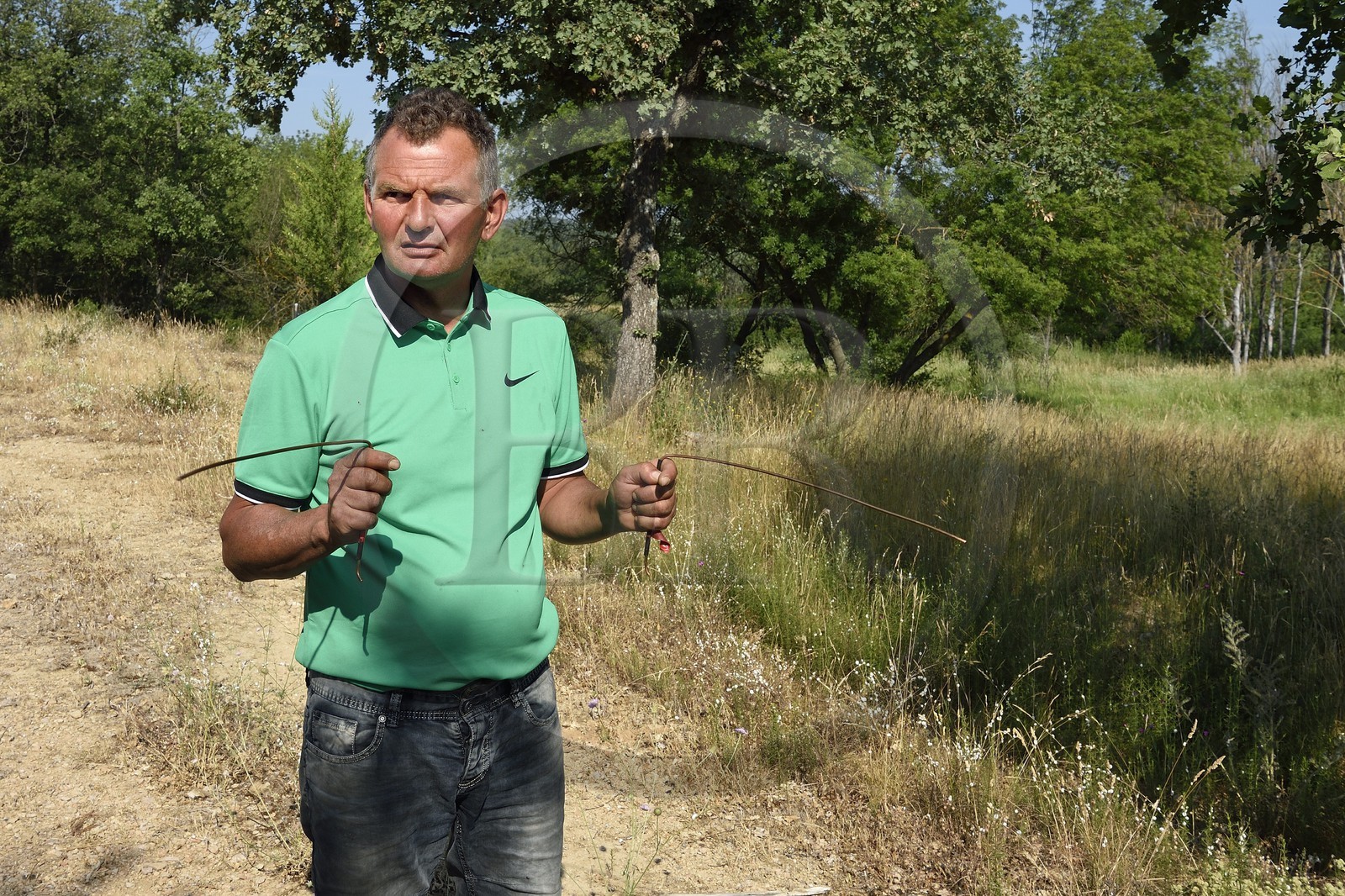 France, Var, Provence Verte (Green Provence), Bras, estate of the guest house Le Peyrourier, the dowser and trufficulteur Philippe Boit searches for water using his copper wands