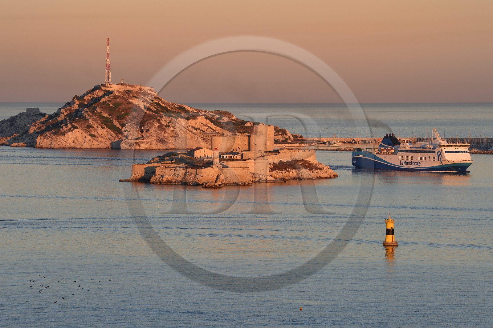 France, Bouches du Rhone, Marseille, Calanques National Park, archipelago of Frioul islands, La Meridionale Ferry arriving from Corsica and the Chateau d'If in the foreground