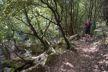 France, Var, between Bagnols en Foret and Roquebrune sur Argens, hike in the Gorges du Blavet