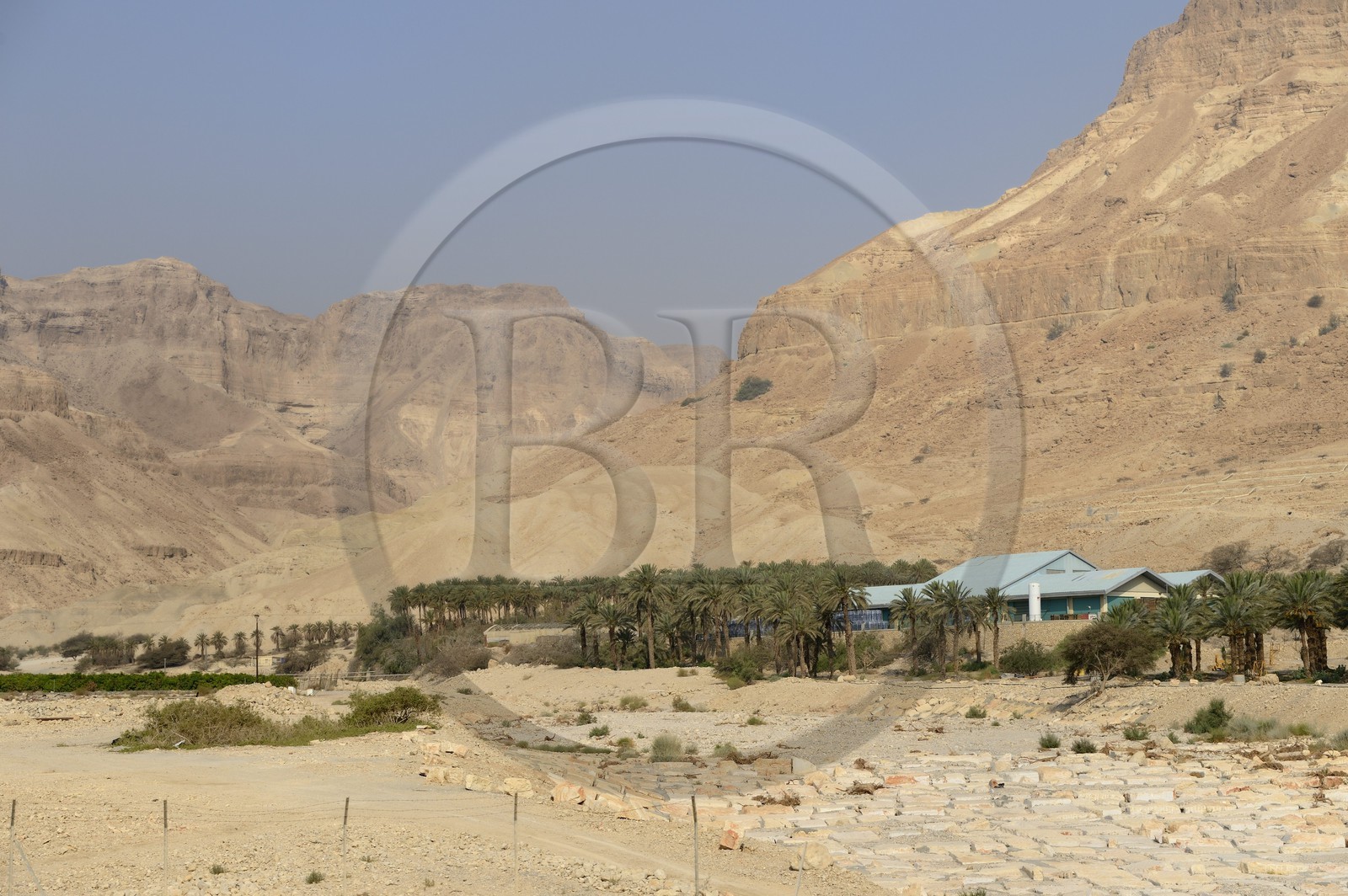 Israel, Cisjordanie, Kibboutz en bordure de la mer Morte
