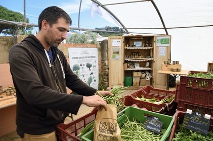 France, Var, Iles d'Hyeres, Parc National de Port Cros (National park of Port Cros), Porquerolles island, Morgan Aguila, who works for the reintegration organization Copains and Les Jardins de Porquerolles, a solidarity-based organic producer