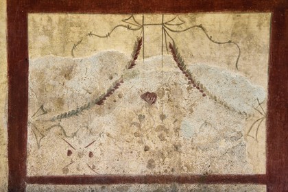 France, Var (83), Hyères, quartier de l'Almanarre, site archéologique d'Olbia fondé vers 350 avant JC par des Grecs venant de Marseille, détail du comptoir peint d'une gargote de la période romaine