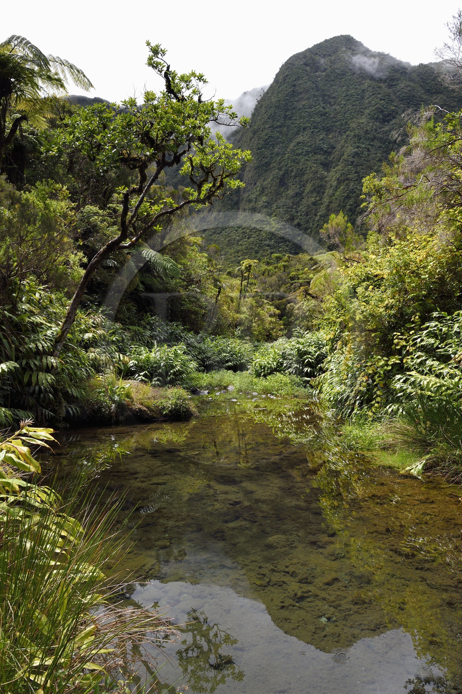 France, Ile de la Reunion,