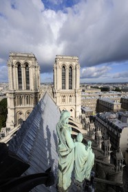France, Paris (75), île de la Cité, la cathédrale Notre-Dame depuis la flèche qui domine les statues de cuivre vert-de-grisé des douze apôtres avec les symboles des quatre évangélistes