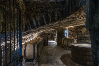 France, Cote d'Or, Climats terroirs of Burgundy listed as World Heritage by UNESCO, Beaune, Maison Champy, the oldest wine trading house in Burgundy, founded in 1720, aging of its wines in barrels in its cellars