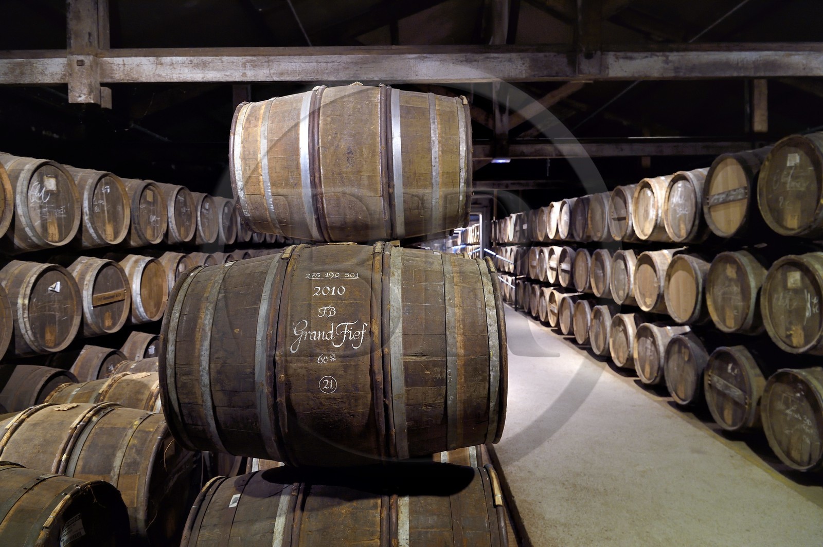 France, Charente (16), Cognac, tonneaux stockés dansles chais de vieillissement de la Maison de cognac Hennessy