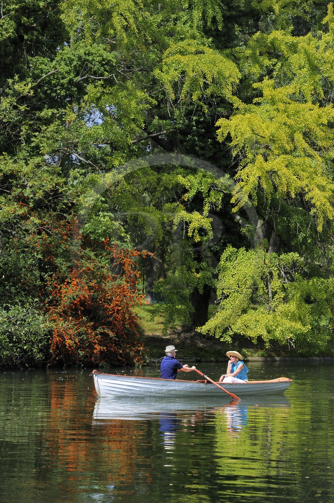 France, Paris (75), le Bois de Boulogne, promenade en barque autours des iles du Lac Inférieur