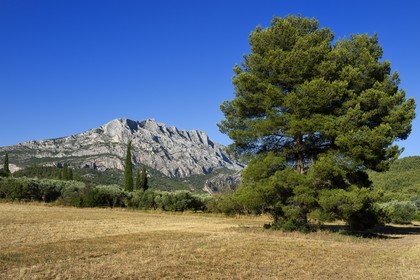 France, Bouches-du-Rhône (13), Pays d'Aix en Provence, vers le Tholonet, la Montagne Sainte Victoire, route Cézanne