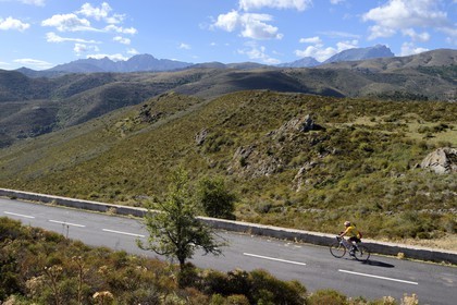 France, Haute Corse, Balagne, cyclist at the Colombano pass on the N197 road