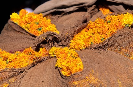 Inde, état du Rajasthan, sac contenant des fleurs pour les ceremonies