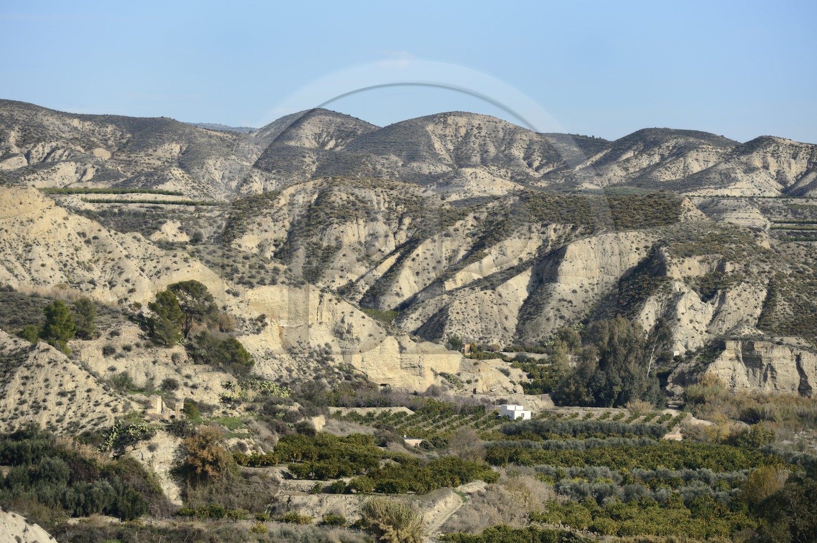 Spain, Andalusia, Almeria Province, the Tabernas Desert begins behind Bentarique cultures
