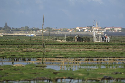 France, Charente-Maritime (17), le bassin Marrennes-Oléron au large de l'Ile d'Oléron, chaland dans les parcs à huîtres