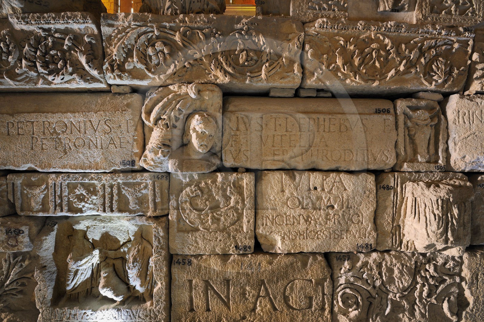 France, Aude (11), Narbonne, musée Lapidaire dans l’église désaffectée Notre Dame de Lamourguier