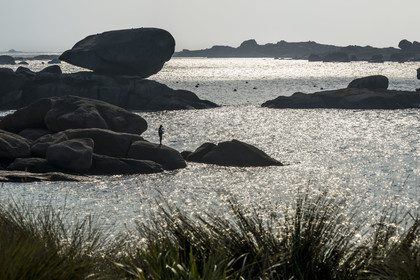 France, Côtes-d'Armor (22), Côte de Granit Rose, Trégastel, jeune pecheur à la ligne sur les rochers devant la plage de Ker ar Vir que longe le chemin de Grande Randonnée GR 34