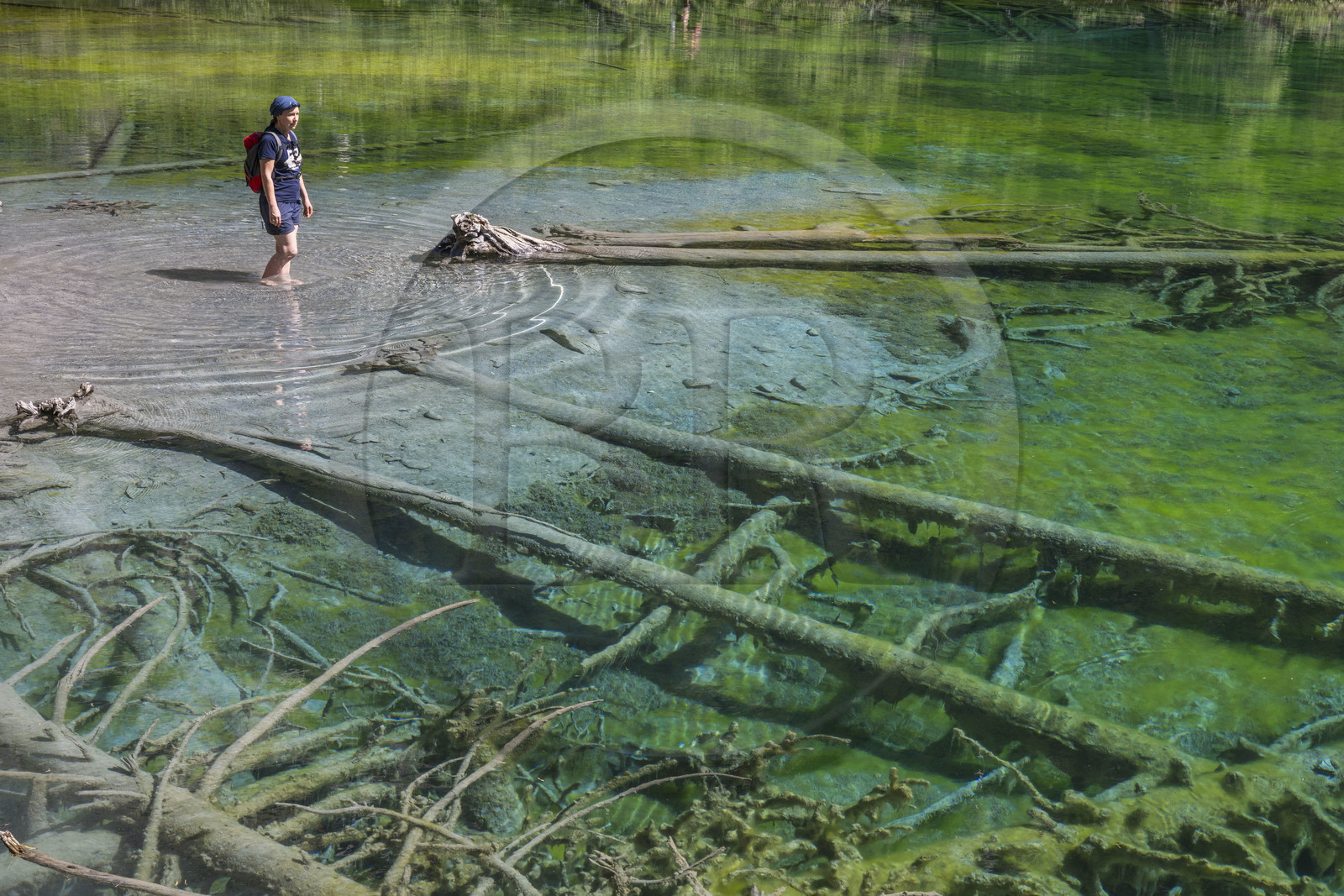 France, Hautes Alpes (05), Névache, la Vallée Étroite à la frontière italienne, le lac Vert (alt. 1834 m)