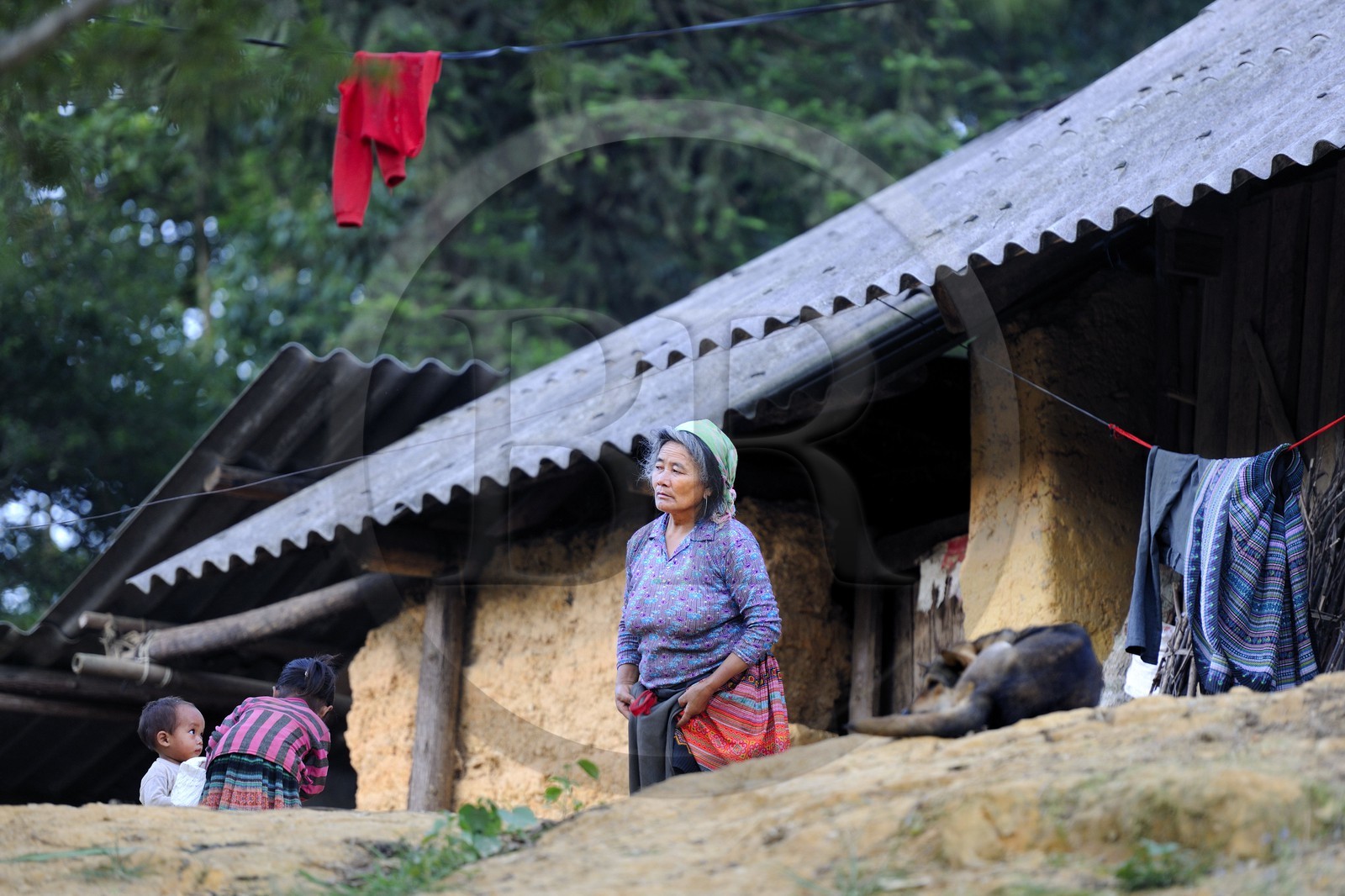 Vietnam, province de Lao Cai, région de Bac Ha, une ferme