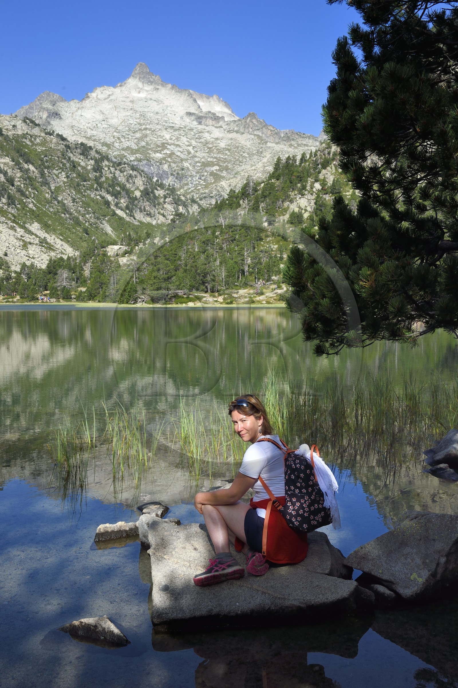 France, Hautes-Pyrénées (65), Saint-Lary-Soulan, Réserve naturelle nationale du Néouvielle, randonnée des lacs du Neouvielle, les Laquettes