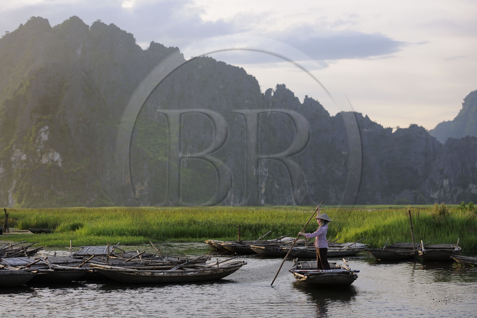 Vietnam, province de Ninh Binh, région surnommée la baie d'Halong terrestre, réserve naturelle de Van Long et ses paysages karstiques