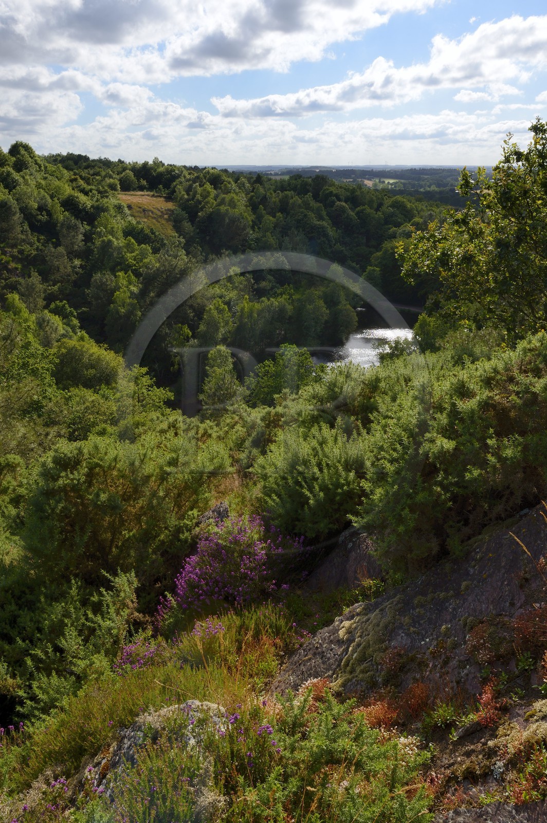 France, Morbihan, forest of Broceliande, Trehorenteuc, the Mare aux Fees (the Fairy Pond) of the Val sans Retour (Valley of No Return) is an enchanted land in which the powerful sorceress Morgan imprisoned her strumpet lovers