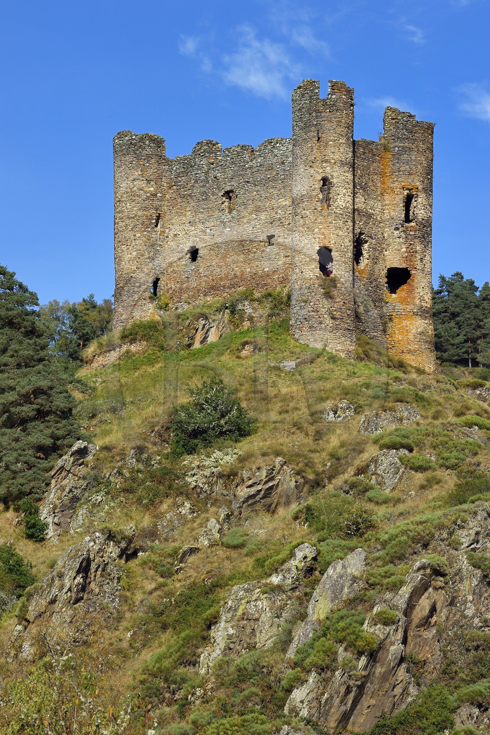 France, Cantal (15), Gorges de la Truyère, Alleuze, ruines féodales perchées du château fort d'Alleuze du XIIIe siècle reconstruit en 1405