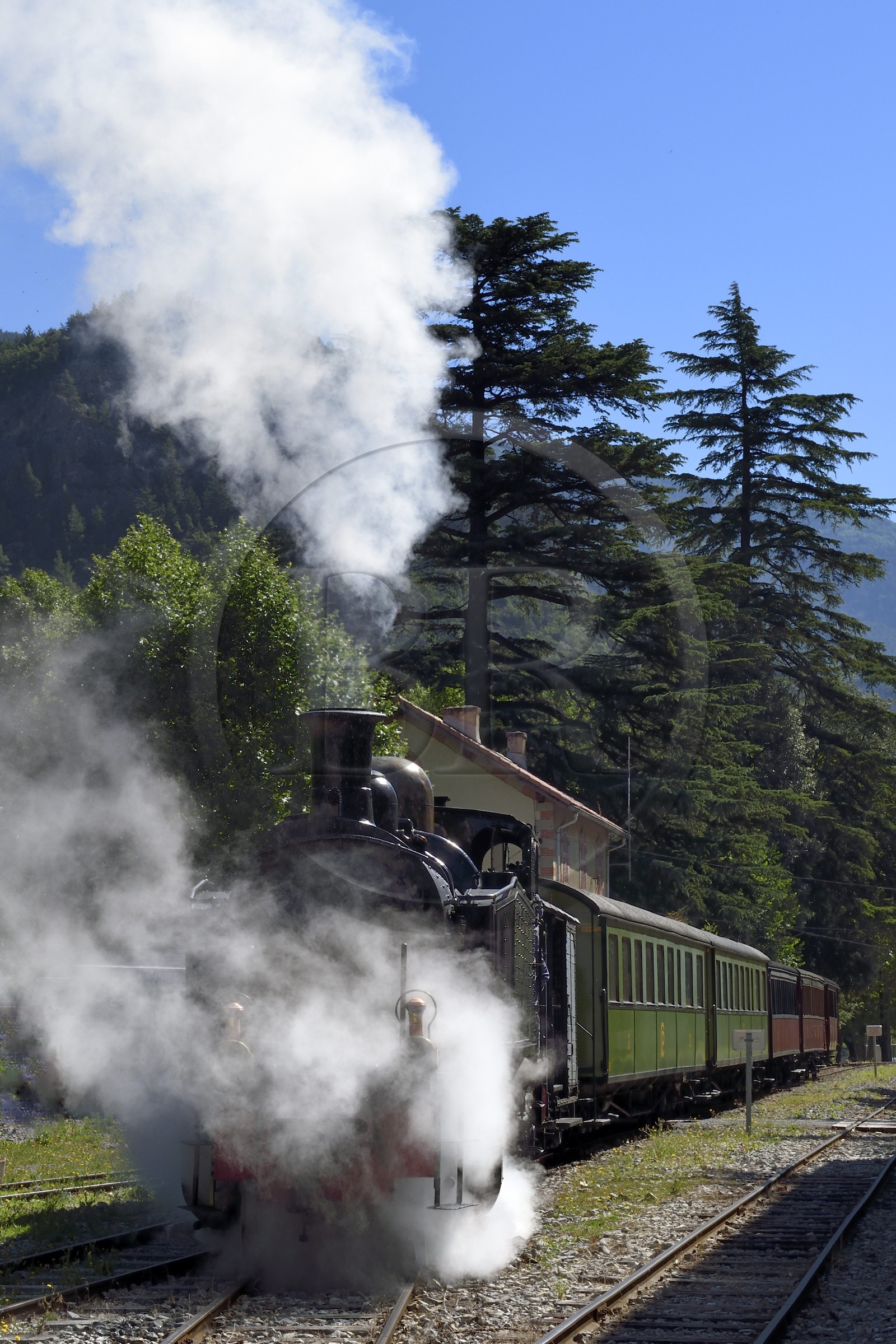 France, Alpes-Maritimes (06), Puget Théniers, le Train des Pignes entre en gare