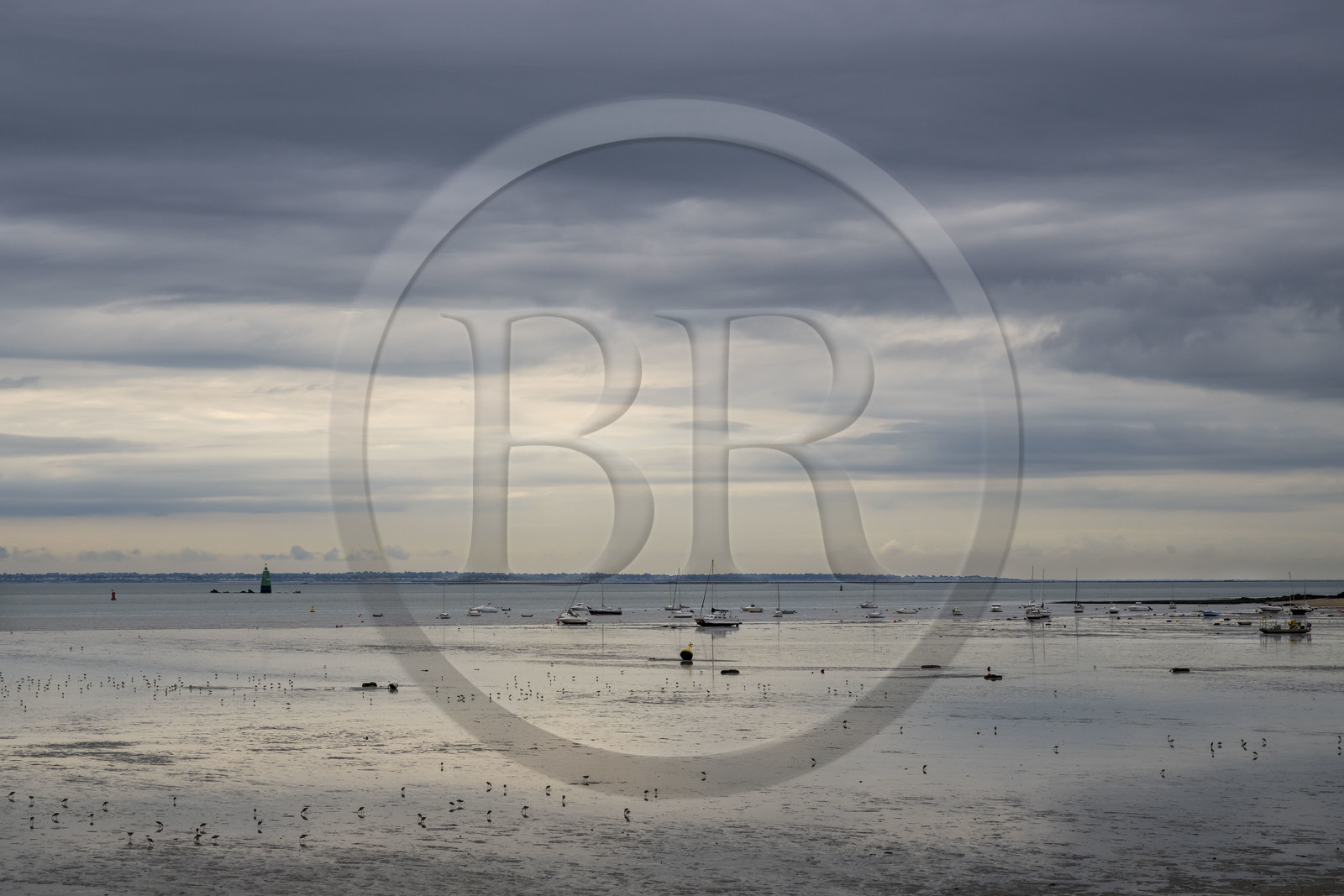 France, Loire-Atlantique (44), Estuaire de la Loire, Saint-Nazaire, la plage Villes Martin à marée basse, tourne-pierre à collier (Arenaria interpres)