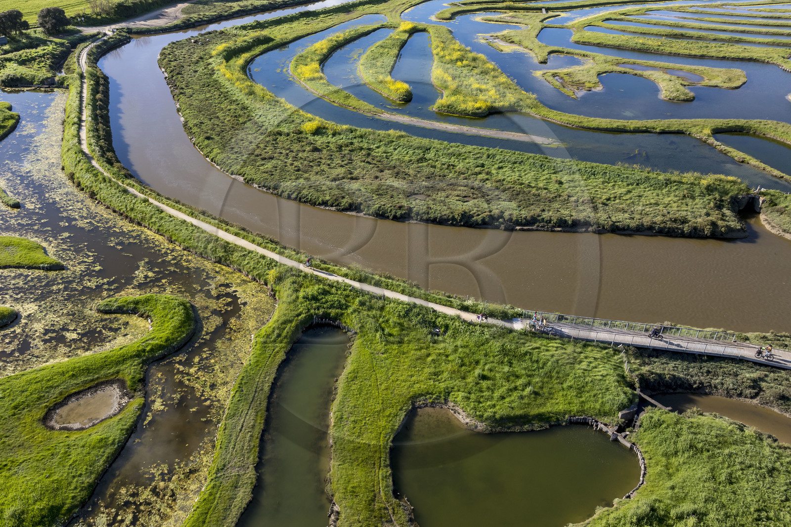 France, Vendée (85), Talmont-Saint-Hilaire, marais de la Guittière dans l'arrière pays de la Pointe du Payré, passage du Cul d’Ane, marais aménagés pour la pisciculture de dorades, mulets et anguilles (vue aérienne)
