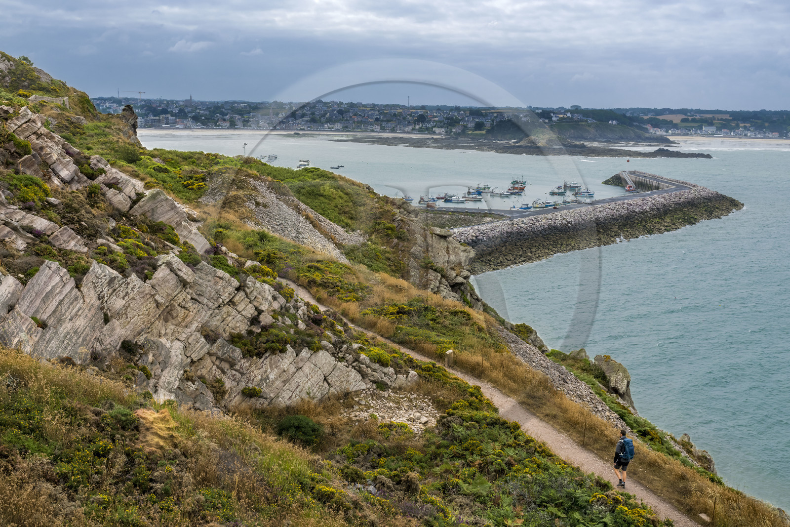 France, Côtes d'Armor (22), Côte de Penthièvre, Erquy, le port en arrière plan