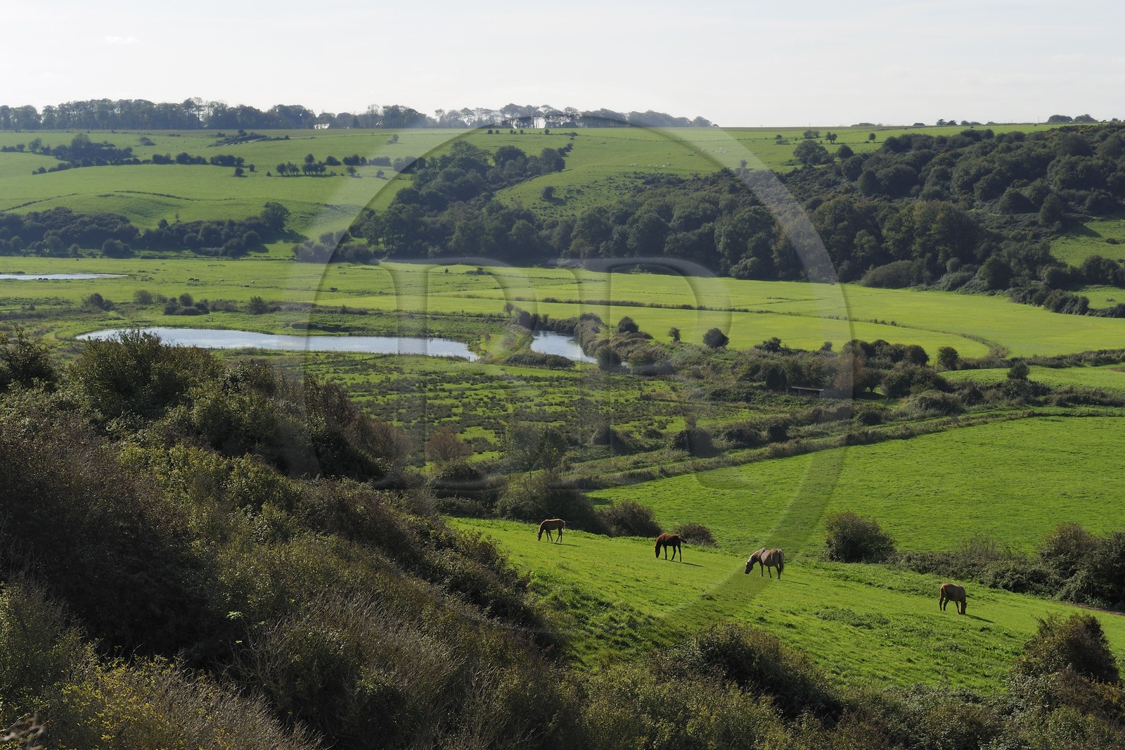 France, Seine-Maritime (76), Pays de Caux, Veulettes-sur-Mer, vue de la vallée de la Durdent