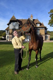 France, Calvados (14), Pays d'Auge, Beuvron-en-Auge, labellisé Les Plus Beaux Villages de France, manoir du Haras de Sens, le propriétaire Philippe David avec son cheval Gold de Padd (fils de l'étalon Ready Cash)