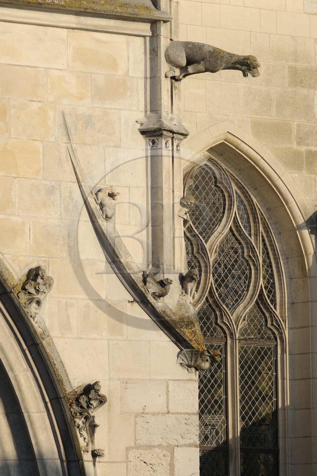 France, Loir et Cher, Blois, Saint Louis Cathedral, gargoyle