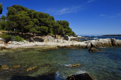 France, Alpes-Maritimes (06), Cannes, Iles de Lérins, Ile Sainte-Marguerite, pointe du Dragon
