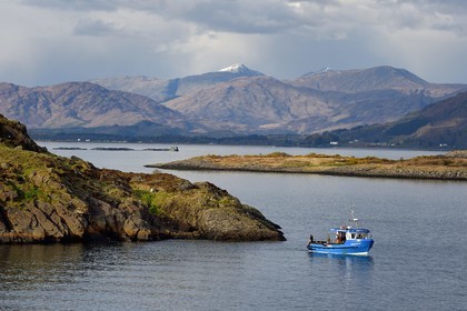 United Kingdom, Scotland, Highland, Argyll and Bute, Oban, fishermen in the islets of Loch Linnhe east of the Isle of Mull