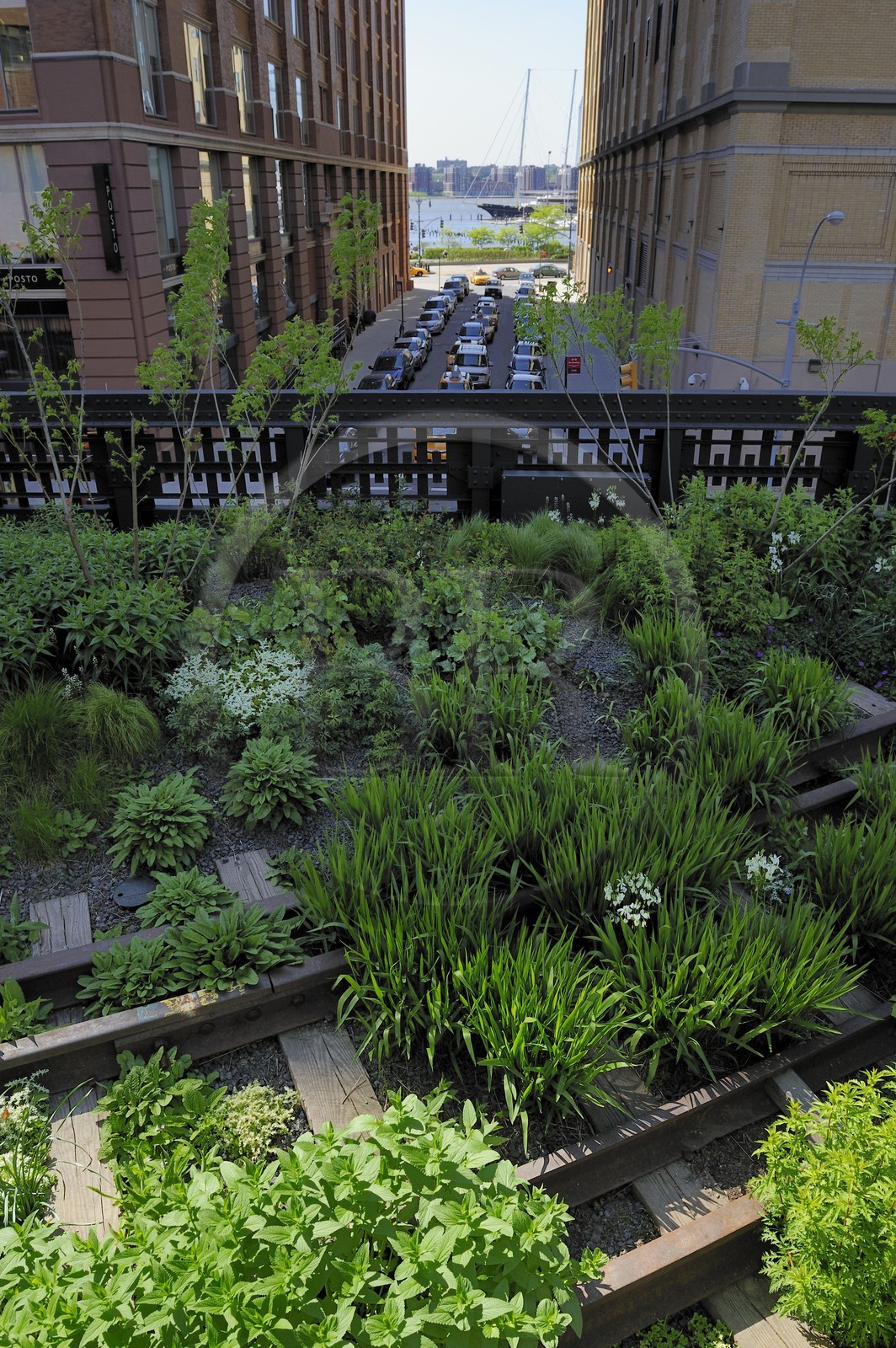 Etats-Unis, New York, Manhattan, Meatpacking district (Gansevoort Market), le High Line Park est une ancienne voie-ferrée aérienne partiellement réhabilitée en parc urbain suspendu