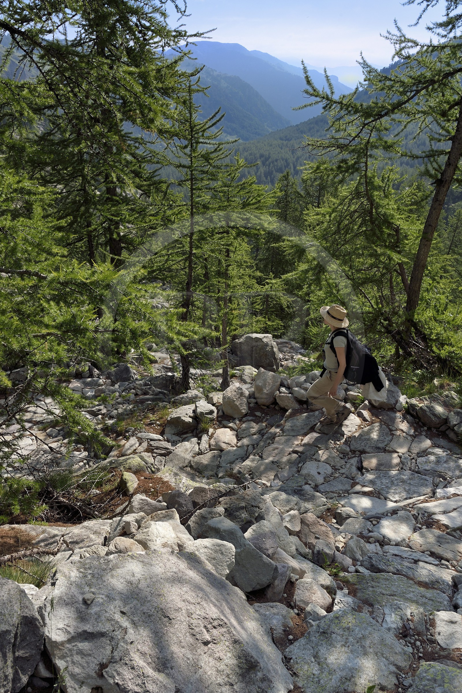 France, Alpes-Maritimes (06), parc national du Mercantour, vallon de la Minière en contrebas de la Vallée des Merveilles, sentier sur les pentes du Mont Bégo