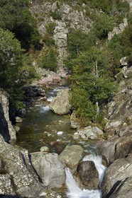 France, Corse-du-Sud (2A), Vallée du Prunelli, gorges du Prunelli