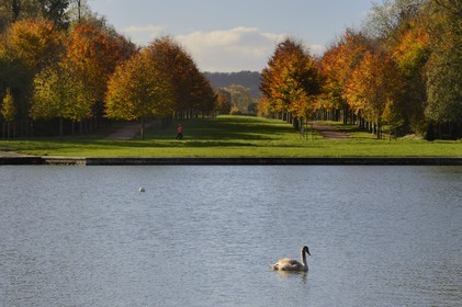 France, Yvelines (78), parc du château de Versailles, classé Patrimoine Mondial de l'UNESCO, le Grand Canal