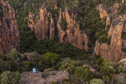 France, Var, between Bagnols en Foret and Roquebrune sur Argens, hiker at the entrance of the Gorges du Blavet (aerial view)