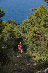 Italie, Ligurie, Cinque Terre, parc national des Cinque Terre classé Patrimoine Mondial de l'UNESCO, village de Monterosso al Mare, randonnée sur le sentier GR 582 entre le sanctuaire de Nostra Signora de Soviore et de Nostra Signora di Reggio sur les hauteurs de Vernazza