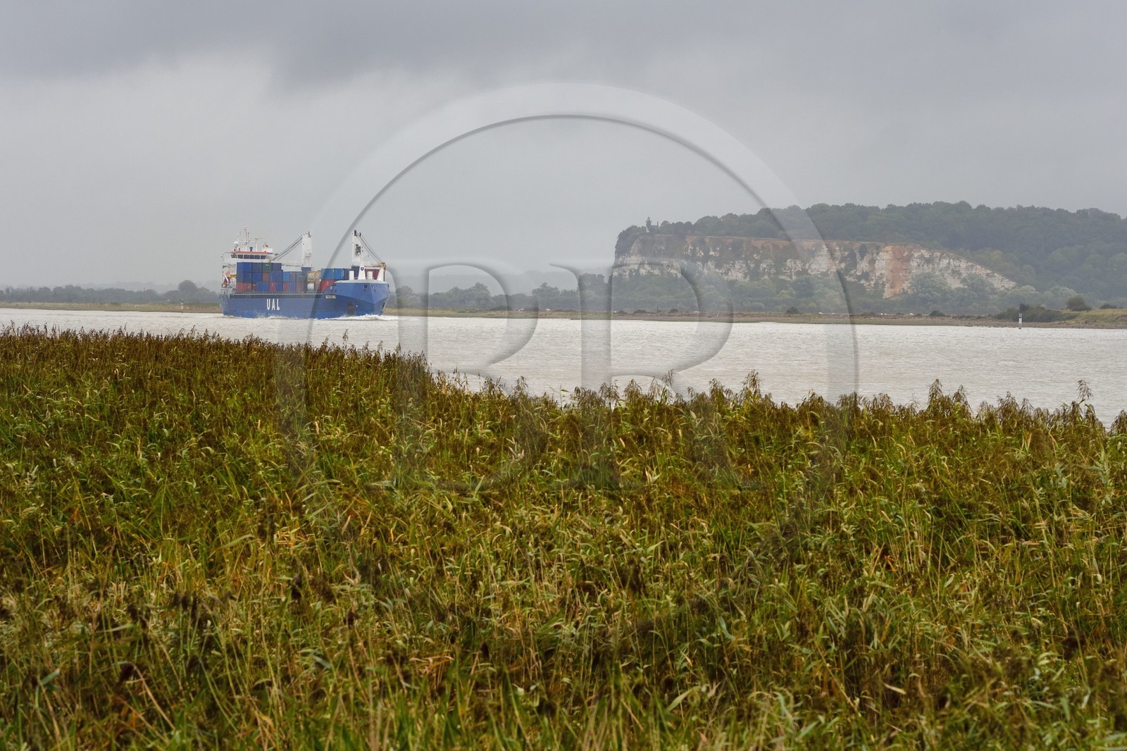 France, Seine-Maritime (76), Réserve Naturelle de l'estuaire de la Seine, porte-conteneurs descendant la Seine depuis Rouen, la roselière en premier plan et la Pointe de la Roque en arrière plan