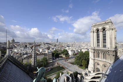 France, Paris (75), les rives de la Seine classées Patrimoine Mondial de l'UNESCO, île de la Cité, la cathédrale Notre-Dame depuis la flèche qui domine les statues de cuivre vert-de-grisé des douze apôtres