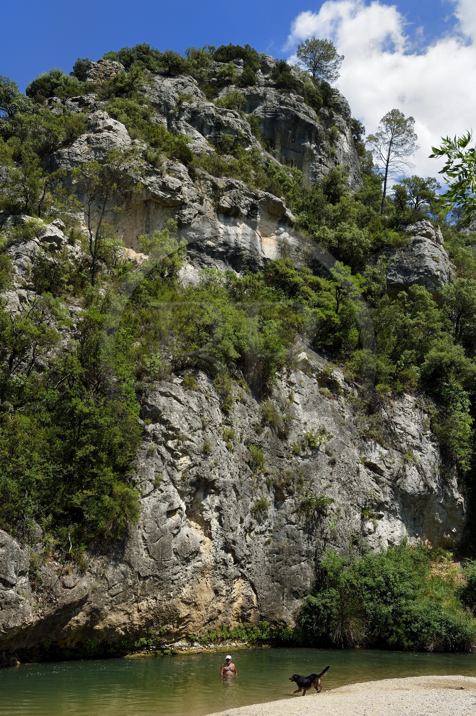 France, Var, Provence Verte, between the villages of Correns and Châteauvert, the gorges of the Vallon Sourn, the river Argens
