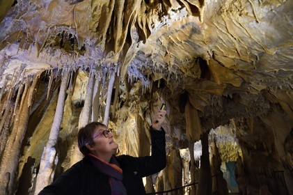 France, Dordogne (24), Périgord Vert, Villars, Grotte de Villars, dessin paléolithique au dioxyde de manganèse surnommé le Petit Cheval bleu datant d' environ 17000 ans (Magdalénien), il est recouvert par un manteau de calcite semi-transparent
