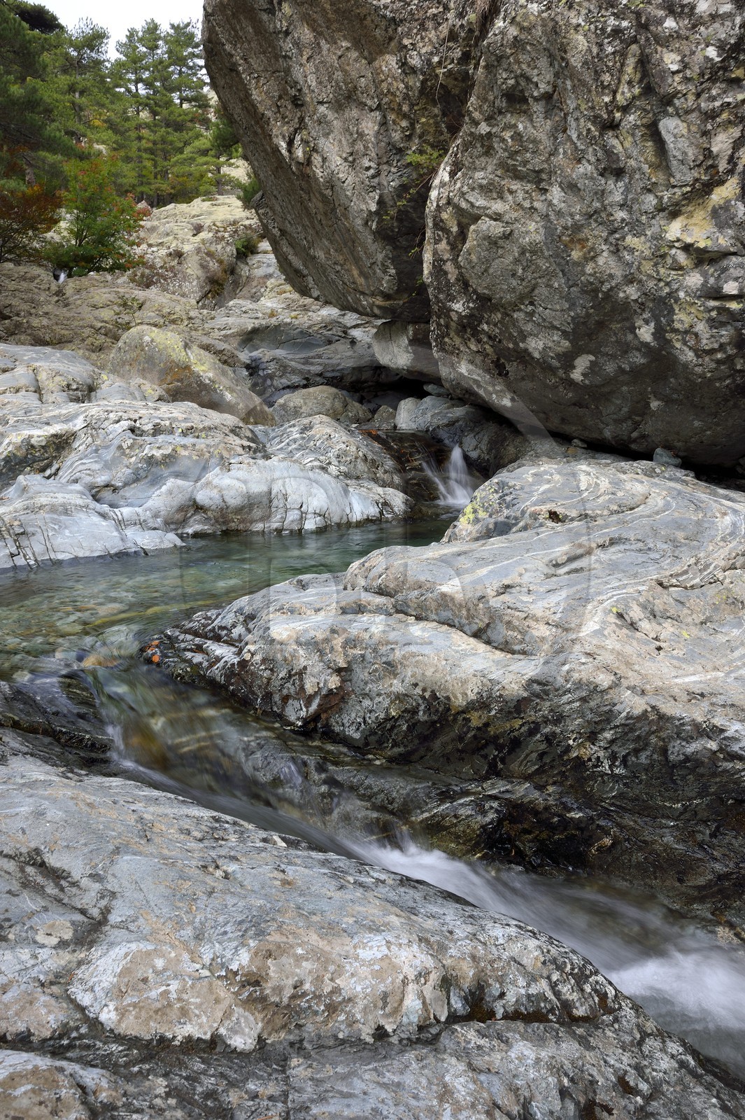 France, Haute-Corse (2B), Vivario, GR 20, étape entre le refuge de l'Onda et Vizzavona, foret de Vizzavona, les cascades des anglais, groupe de cascades dans la vallée de l'Agnone