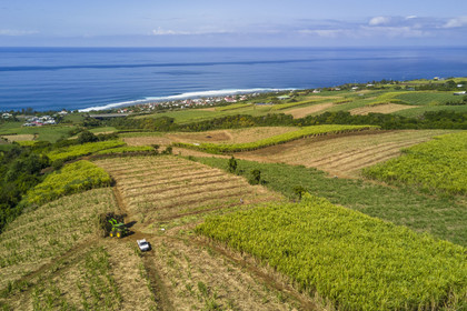 France, Ile de la Reunion, Petite-Ile, coupe et récolte de la canne à sucre (vue aérienne)