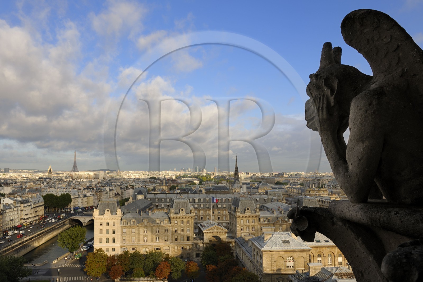 France, Paris, ile de la Cite, Notre-Dame Cathedral, the chimeras observe the city