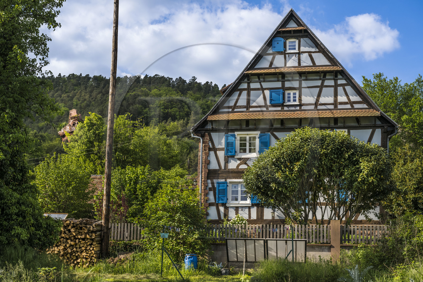France, Bas-Rhin (67), Parc naturel régional des Vosges du Nord, Obersteinbach, maison traditionnelle à pans de bois dans la rue principale